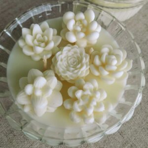 Vela aromática em frasco, feita em cera 100% vegetal e pavio de algodão. A vela possui 6 pequenas suculentas em cera e dois pavios, em pote de vidro decorado.